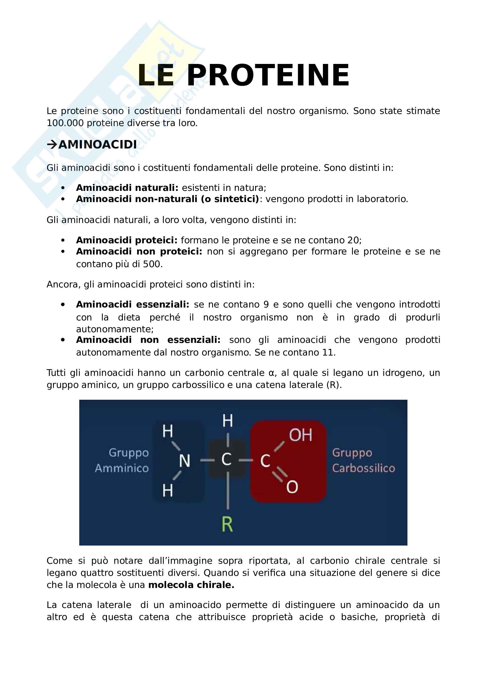 1. Generalità delle proteine (strutture, legame peptidico e paradosso di Levinthal) Pag. 1