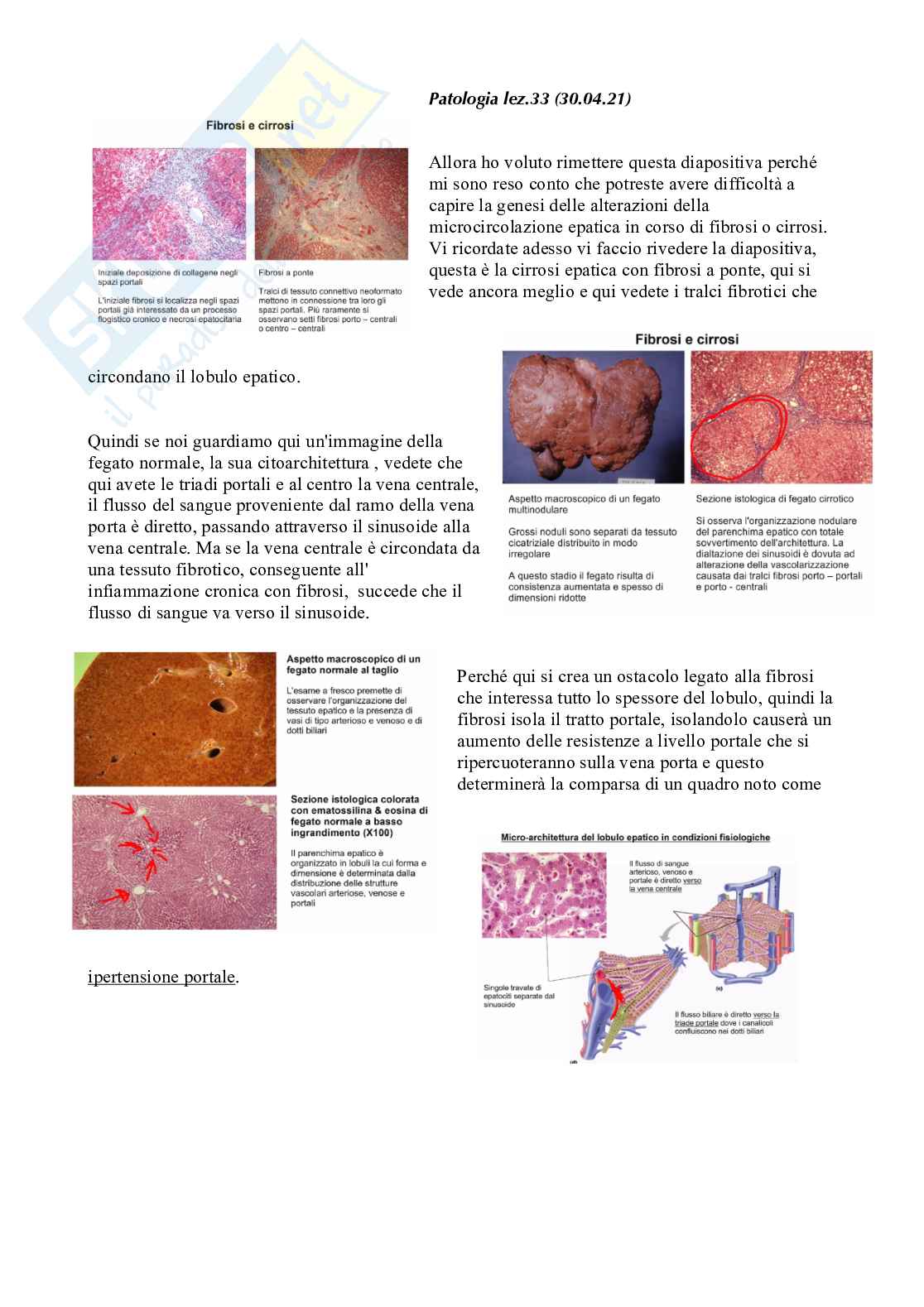 Patologia generale e fondamenti di fisiopatologia - parte 7 Pag. 1