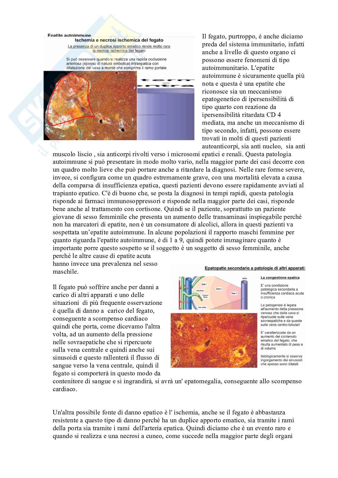 Patologia generale e fondamenti di fisiopatologia - parte 7 Pag. 11