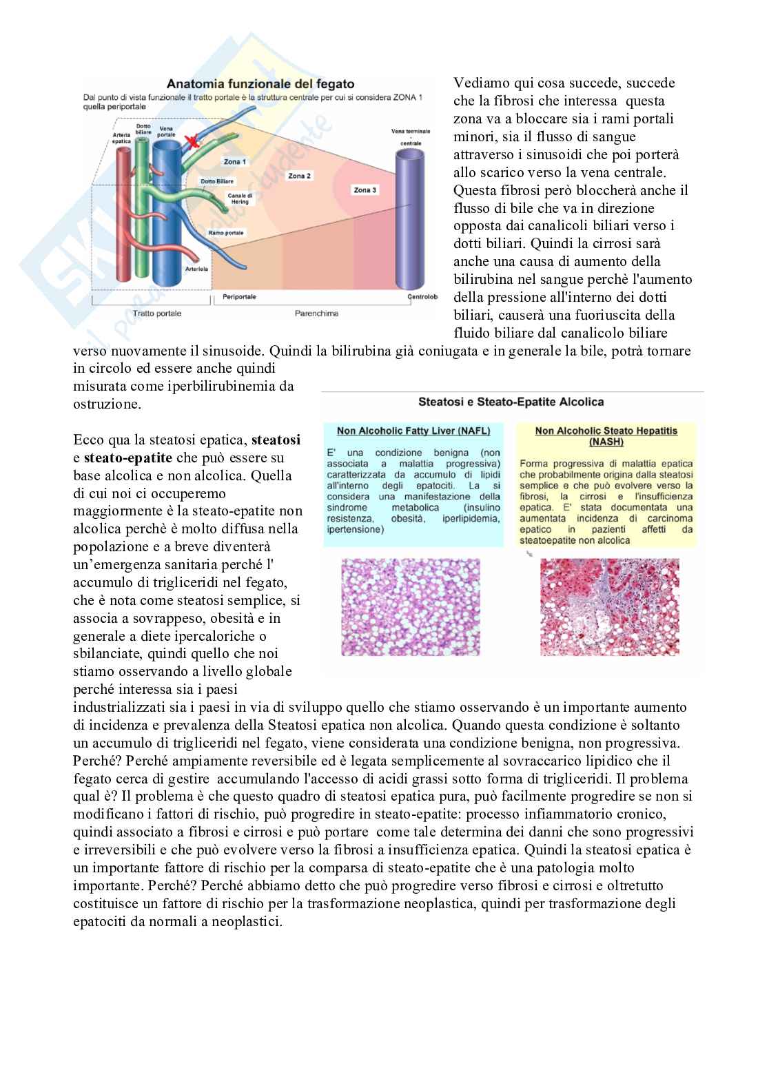 Patologia generale e fondamenti di fisiopatologia - parte 7 Pag. 2