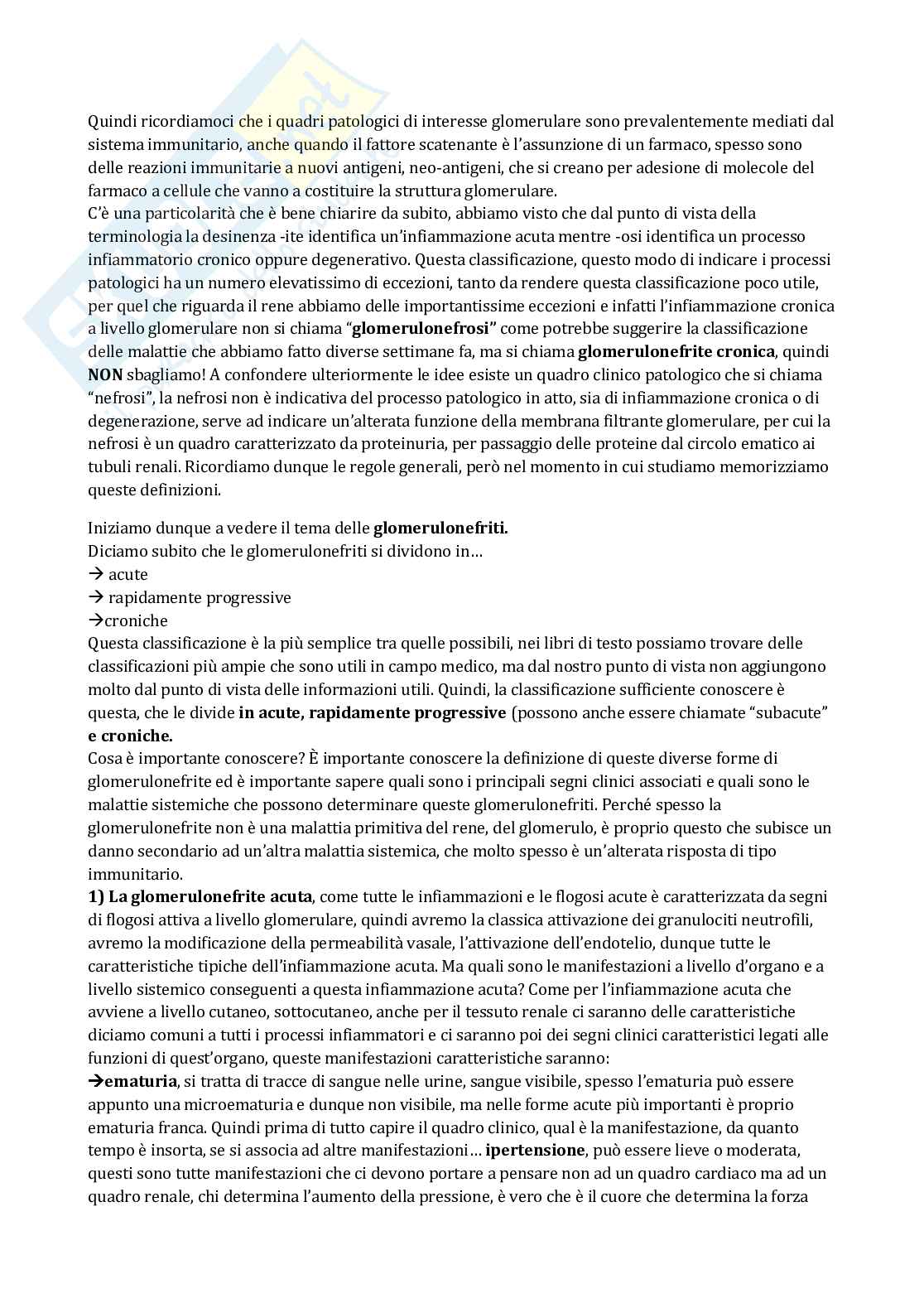 Patologia generale e fondamenti di fisiopatologia - parte 7 Pag. 26