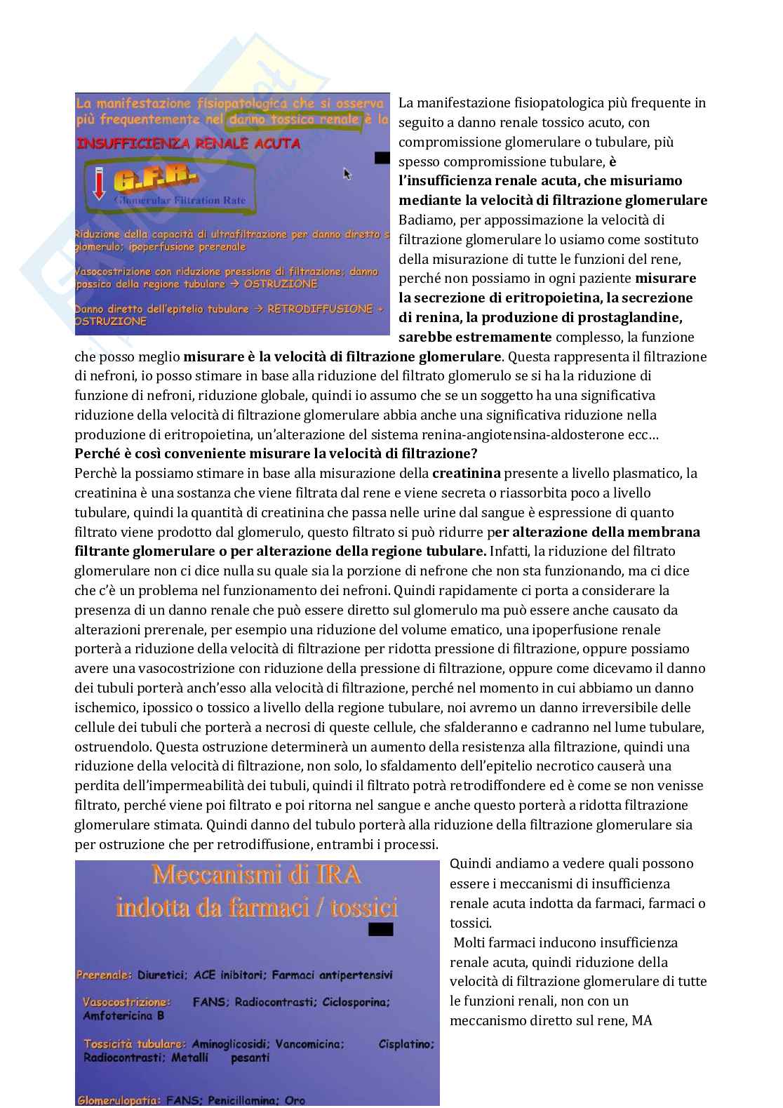Patologia generale e fondamenti di fisiopatologia - parte 7 Pag. 31