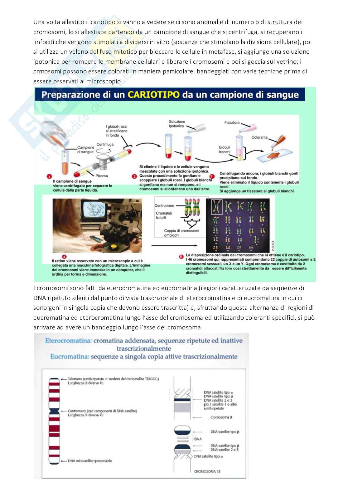 Laboratorio di genetica medica Pag. 11