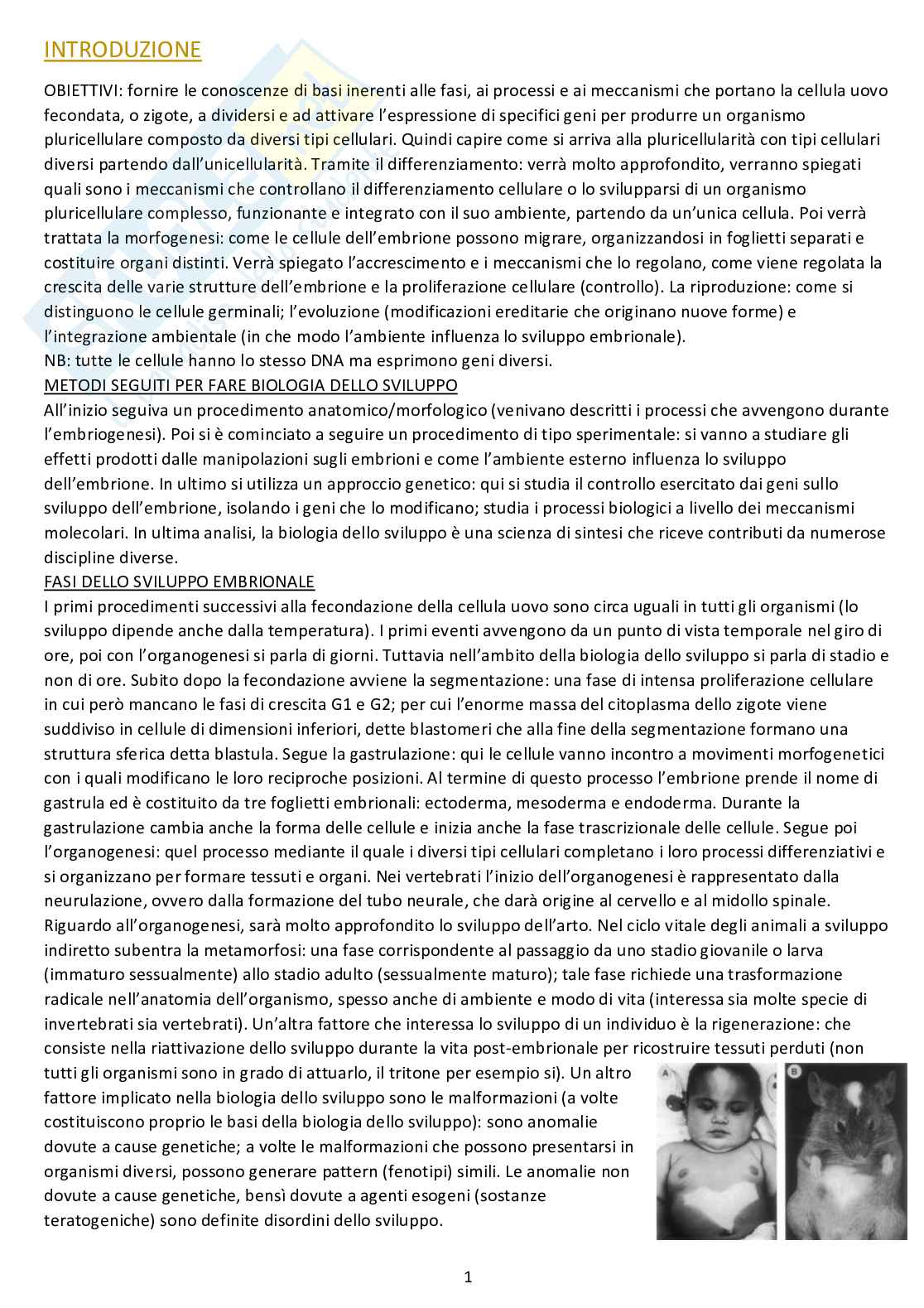 Biologia dello sviluppo - Appunti completi dalle lezioni Pag. 1
