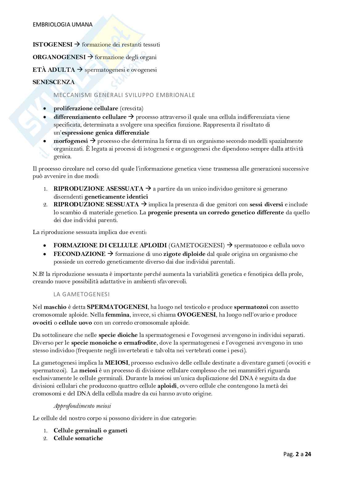 Riassunto esame Istologia ed embriologia, Prof. Fagotti Anna, libro consigliato Embriologia umana - Monesi, Massimo de Felici Pag. 2