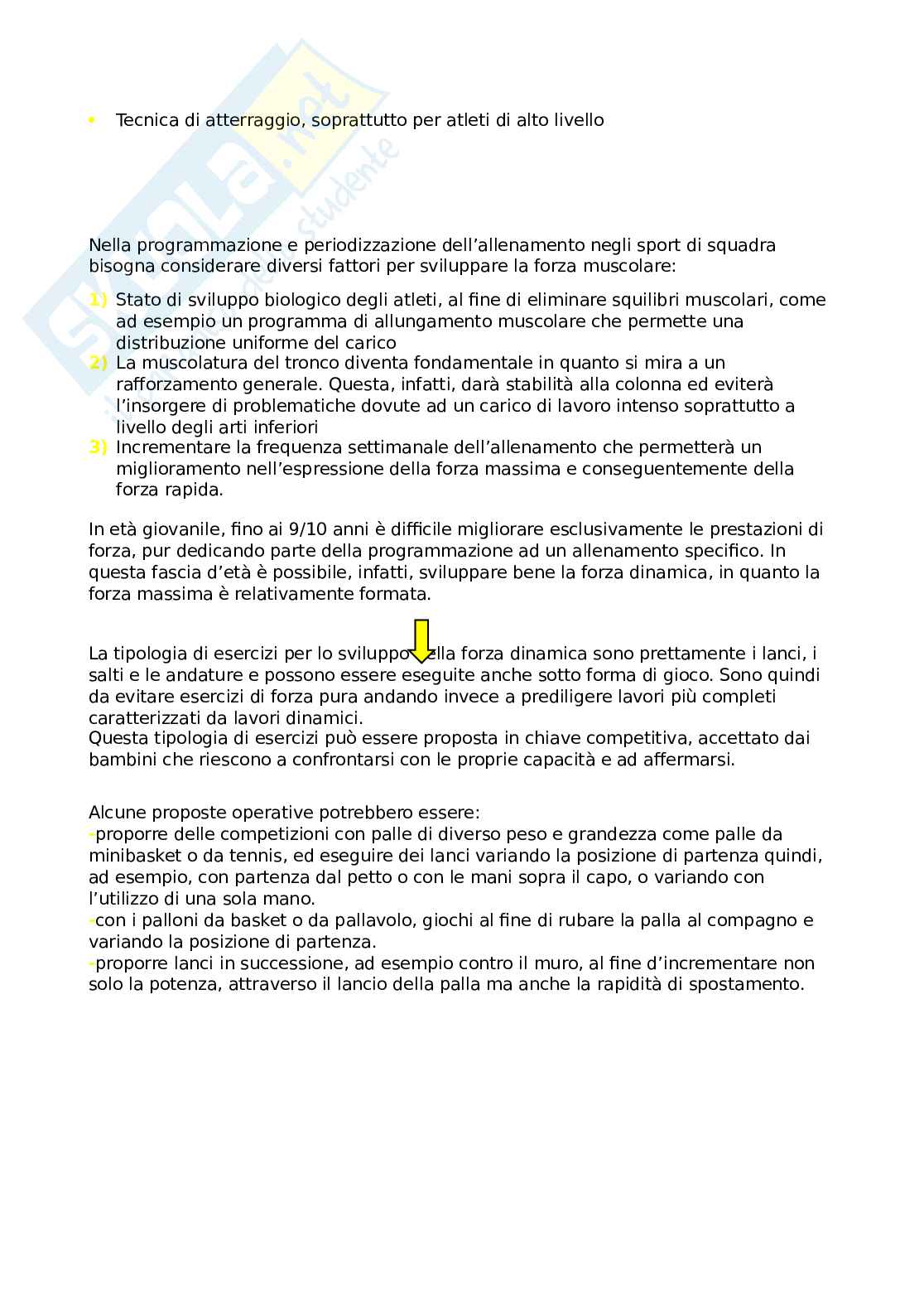 Appunti Didattica degli sport di squadra Pag. 11