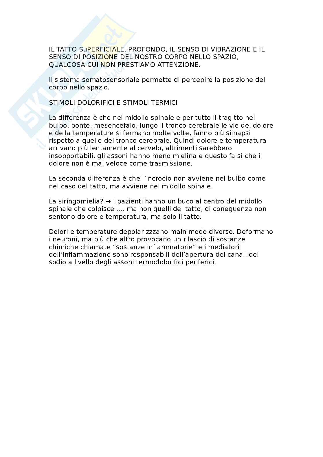 Neurofisiologia del sistema somatosensoriale: tatto, dolore e rappresentazione corticale Pag. 11