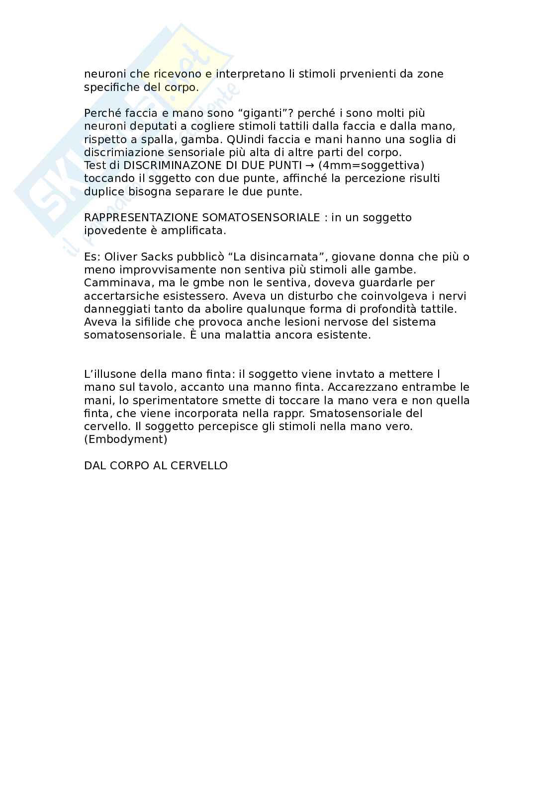 Neurofisiologia del sistema somatosensoriale: tatto, dolore e rappresentazione corticale Pag. 2