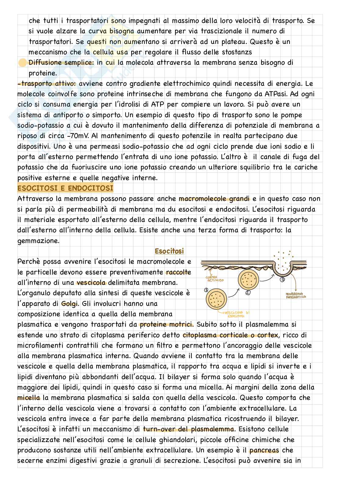Istologia - Membrana plasmatica  Pag. 2