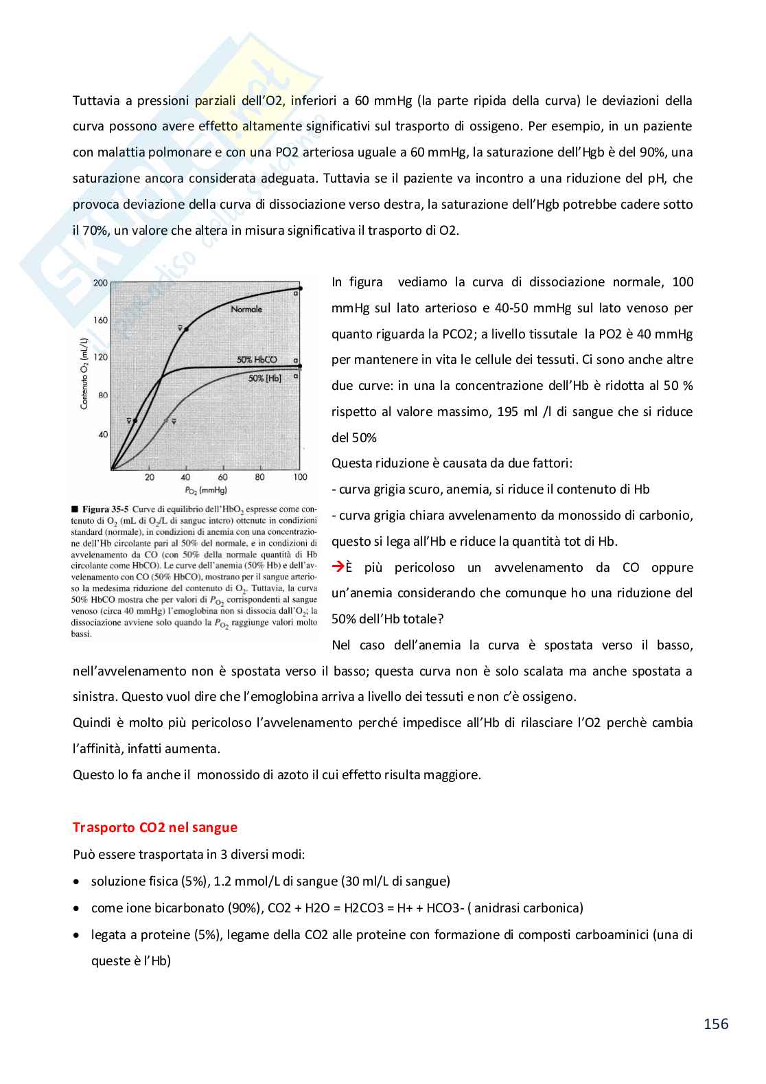 Molecole coinvolte nel sistema respiratorio Pag. 6