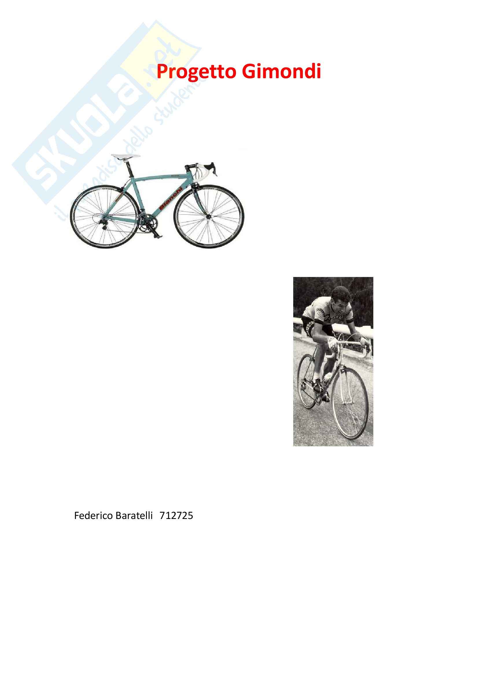 Analisi strutturale di un telaio di bicicletta Pag. 1