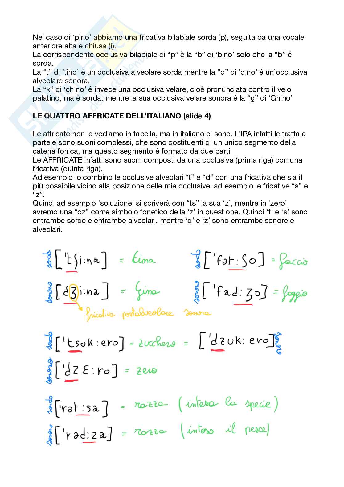 Appunti rielaborati Linguistica - modulo 1 Pag. 46