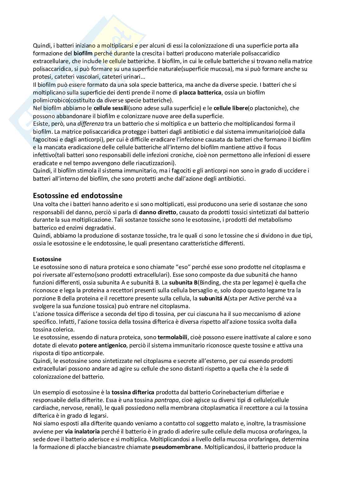 Microbiologia  Pag. 26