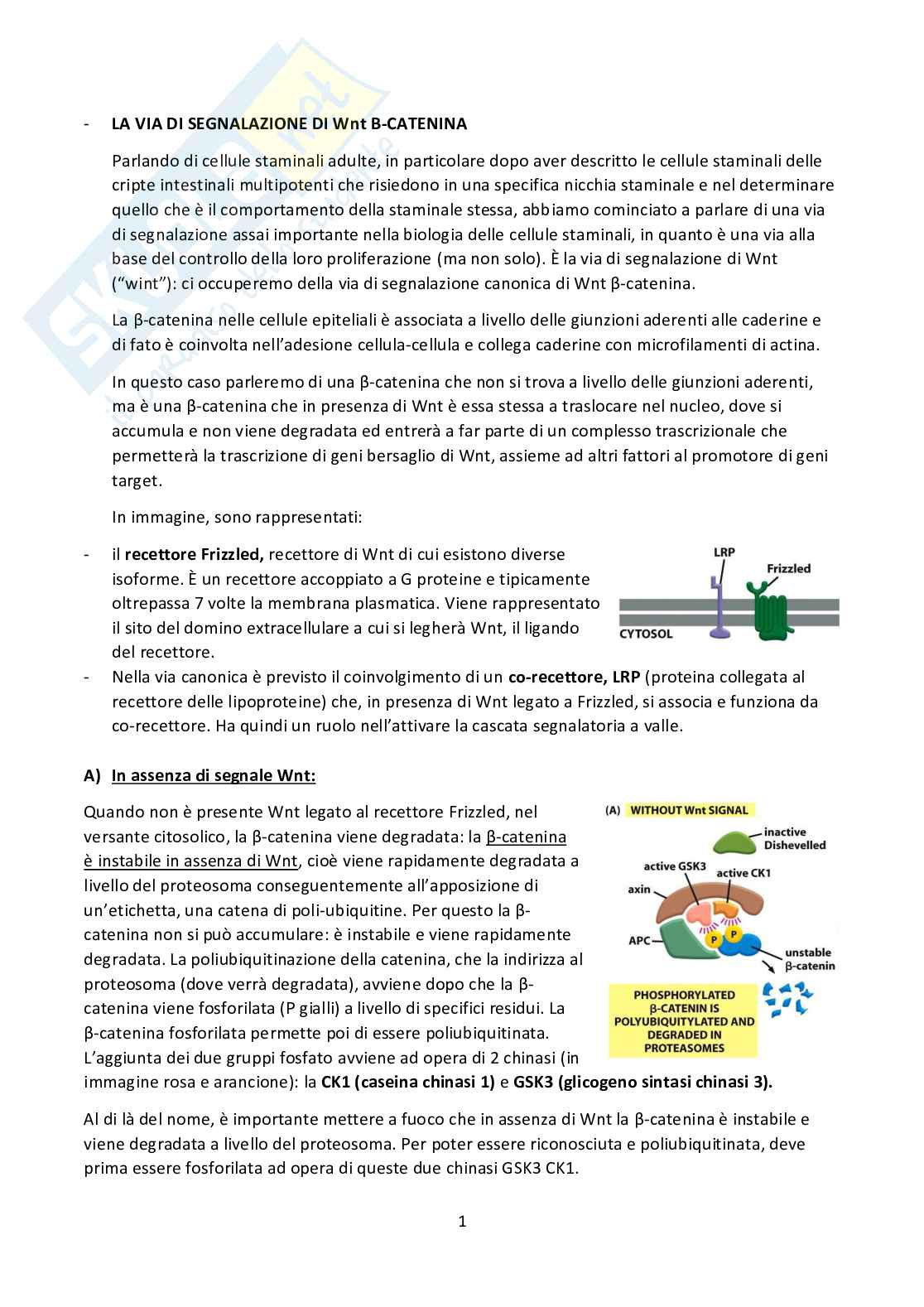 Biologia cellulare  Pag. 1