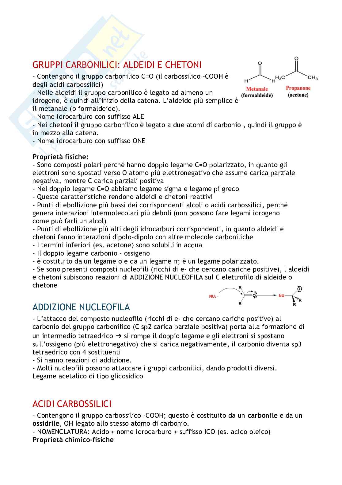 Struttura e funzione delle molecole organiche negli alimenti Pag. 11