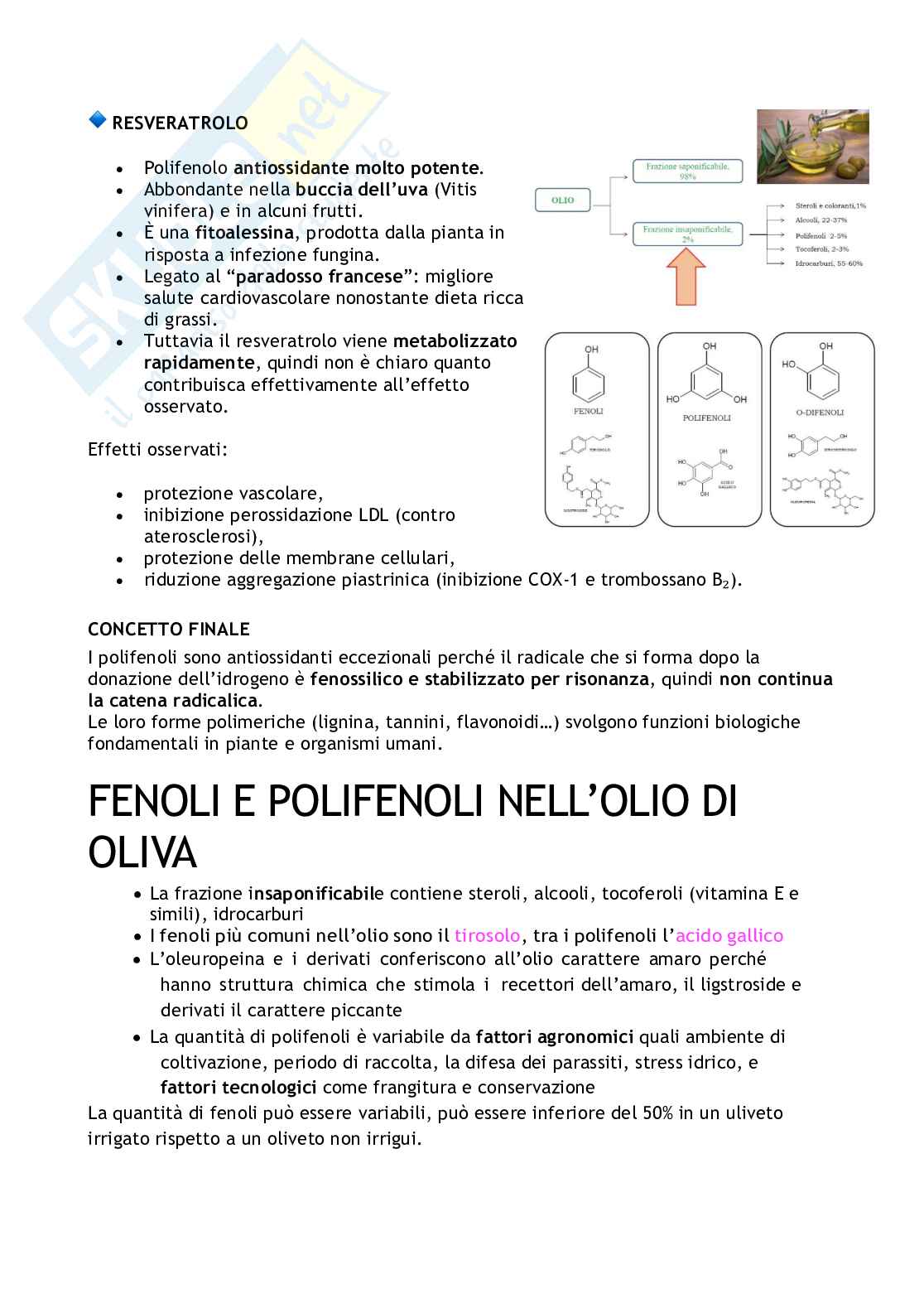 Struttura e funzione delle molecole organiche negli alimenti Pag. 41
