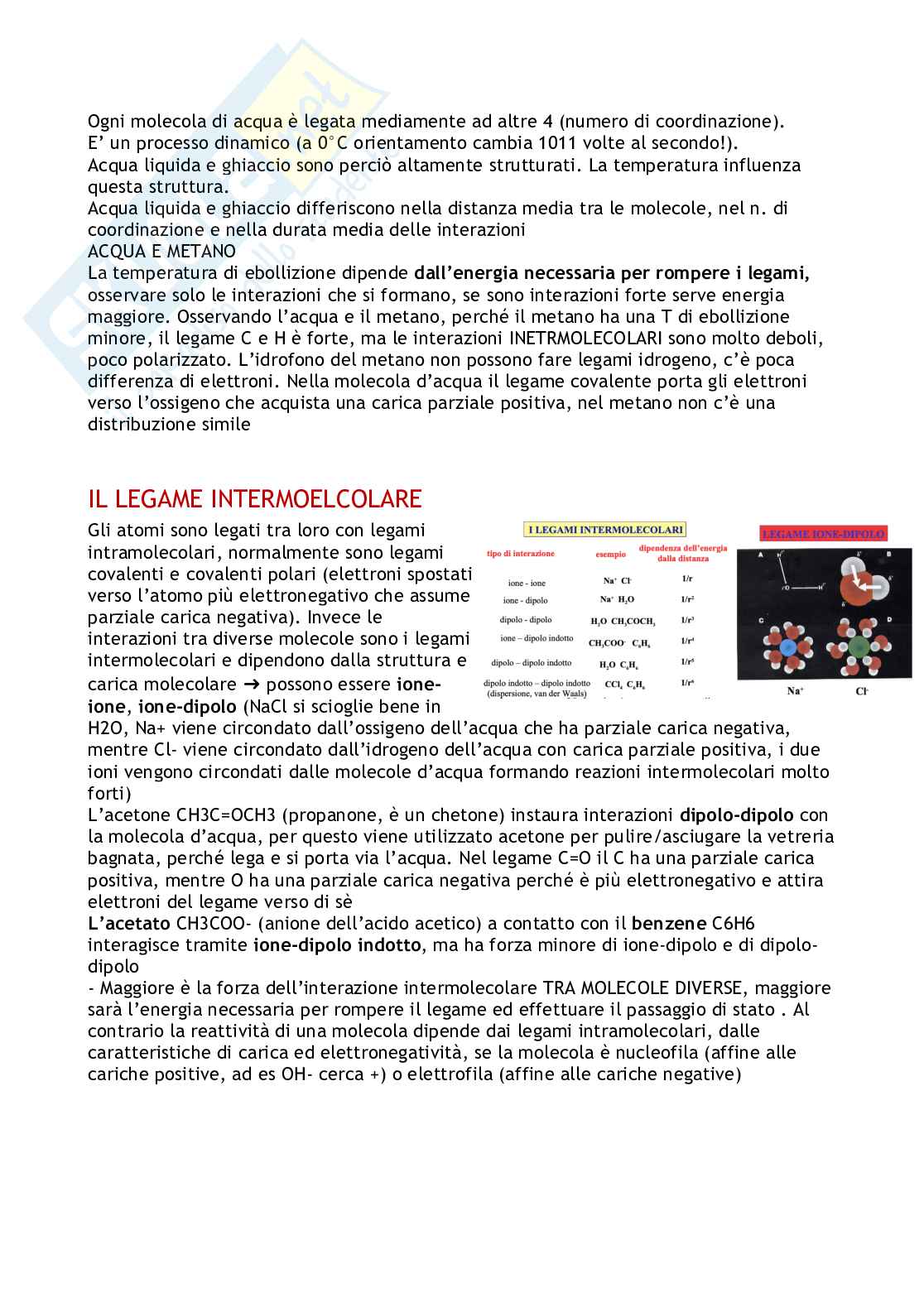 Struttura e funzione delle molecole organiche negli alimenti Pag. 6