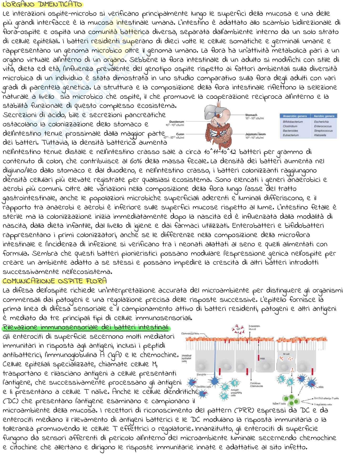 L’analisi del microbiota intestinale nello sportivo Pag. 1