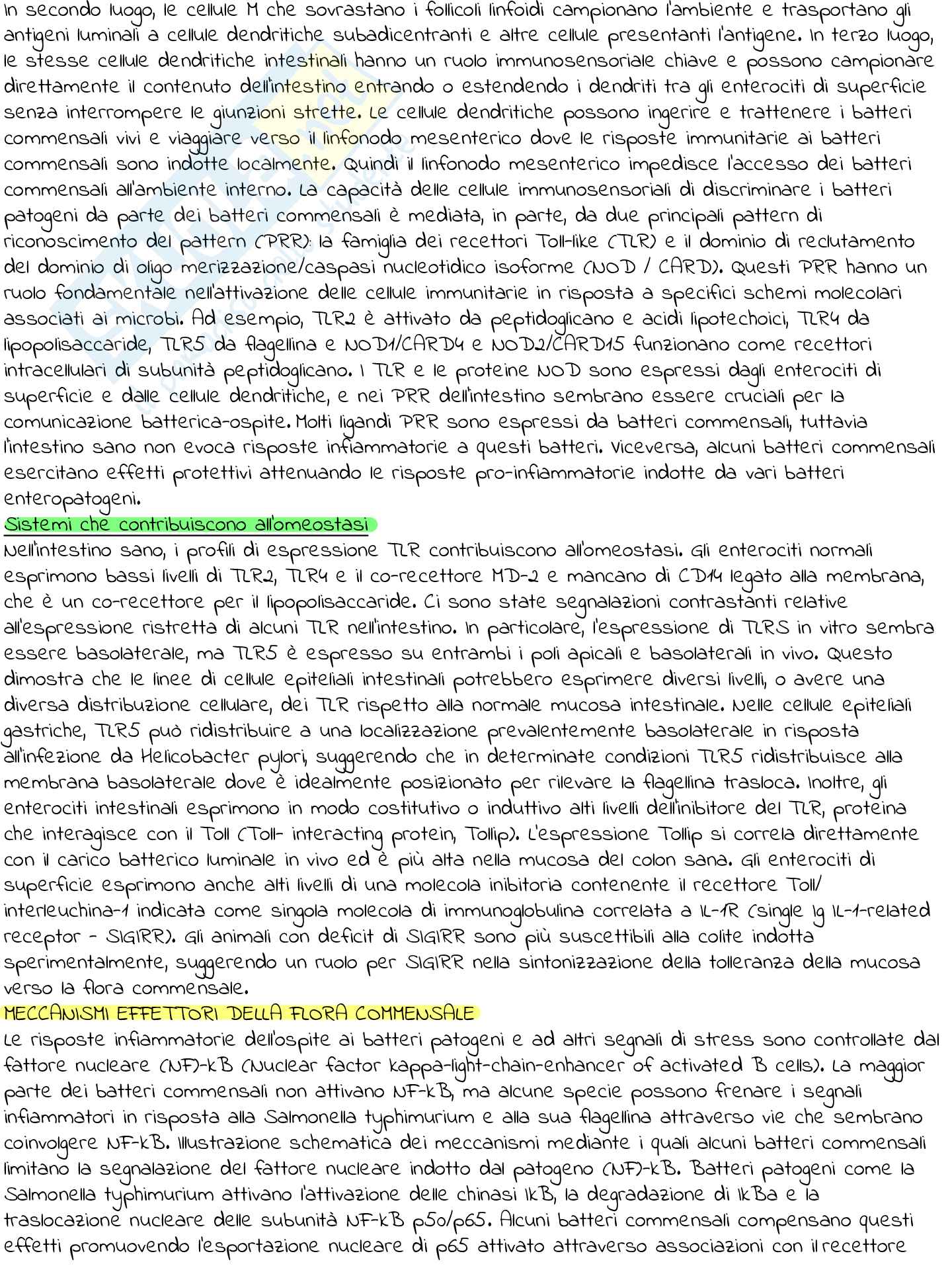 L’analisi del microbiota intestinale nello sportivo Pag. 2