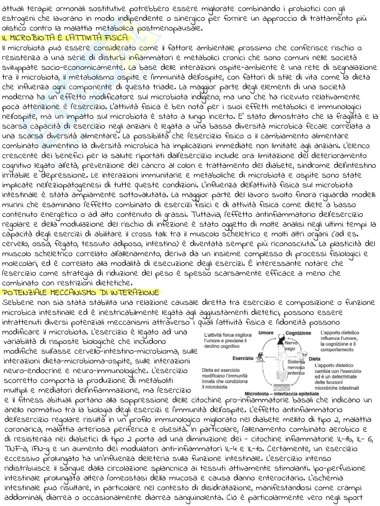 L’analisi del microbiota intestinale nello sportivo Pag. 31