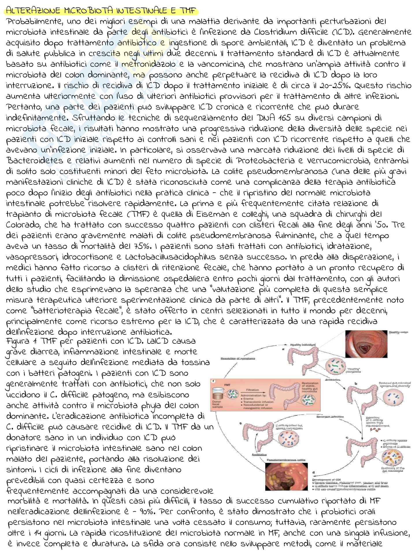 L’analisi del microbiota intestinale nello sportivo Pag. 51
