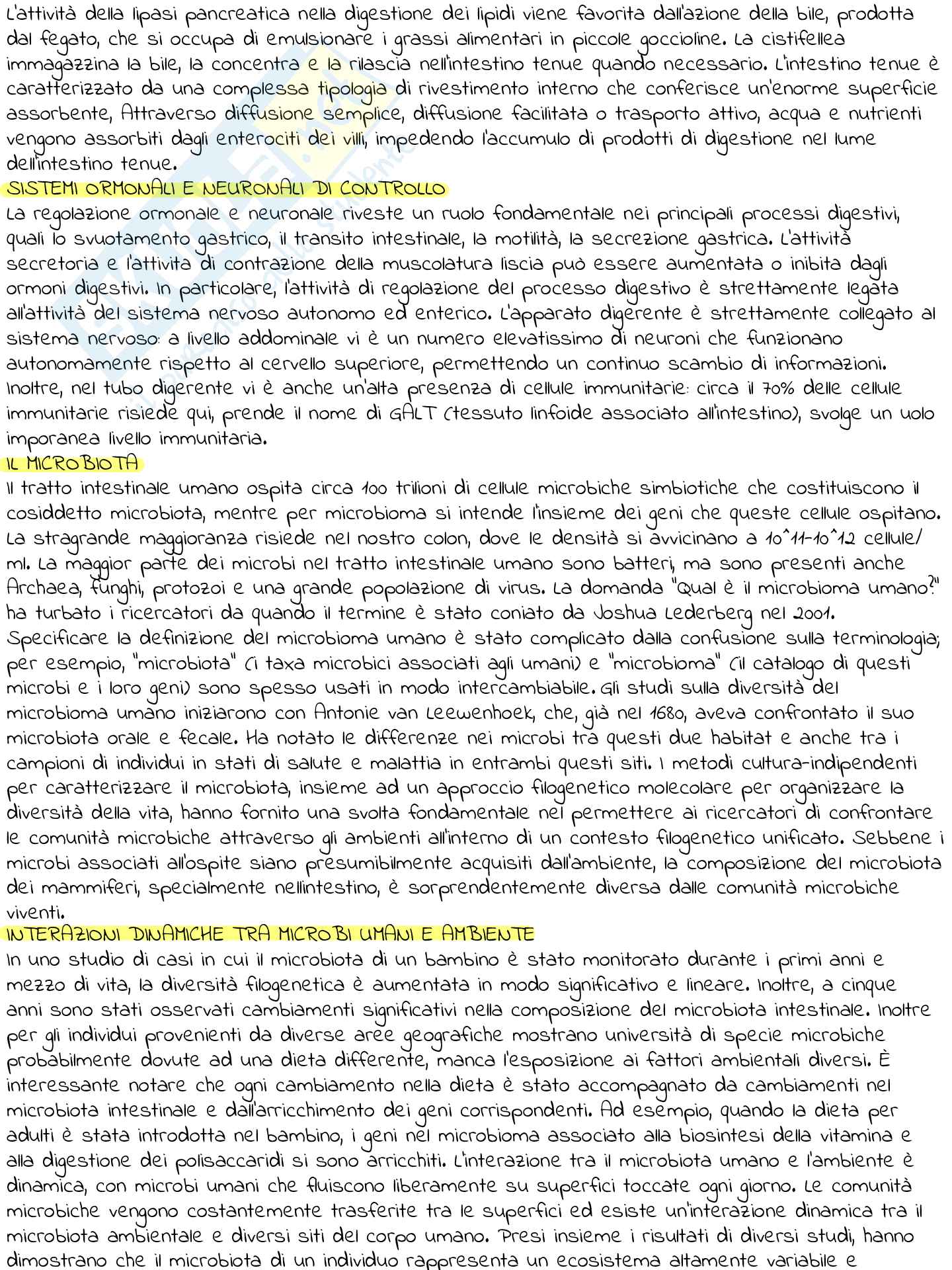 L’analisi del microbiota intestinale nello sportivo Pag. 6