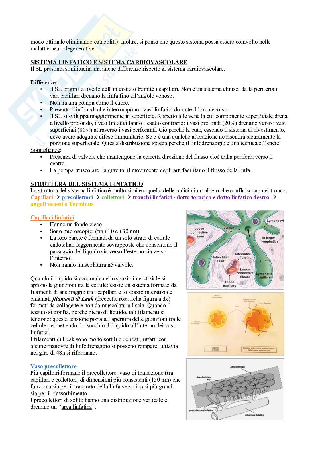 Fisioterapia - Appunti di medicina fisica e riabilitativa - Edemi e sistema linfatico  Pag. 2