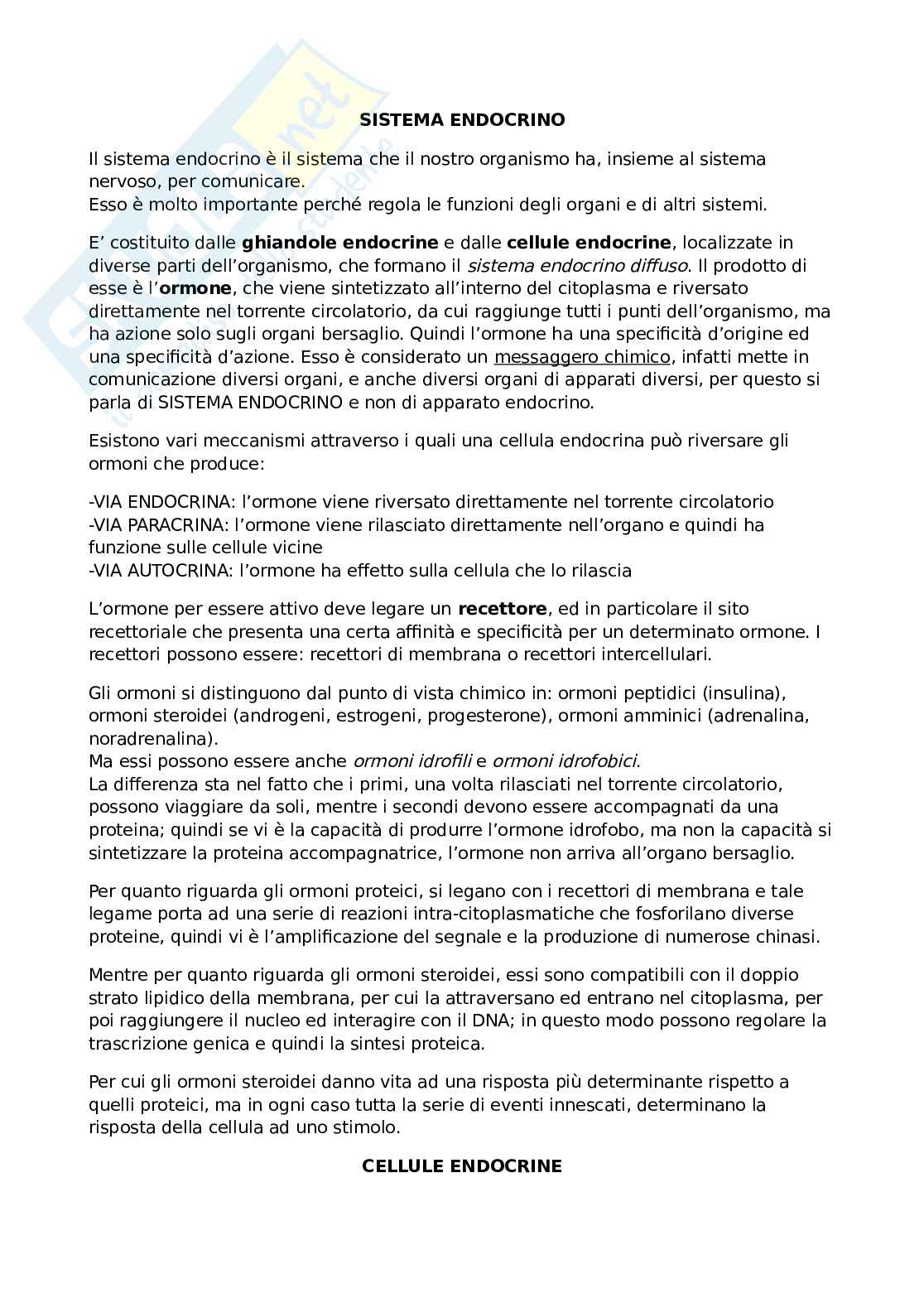 Sistema endocrino Pag. 1