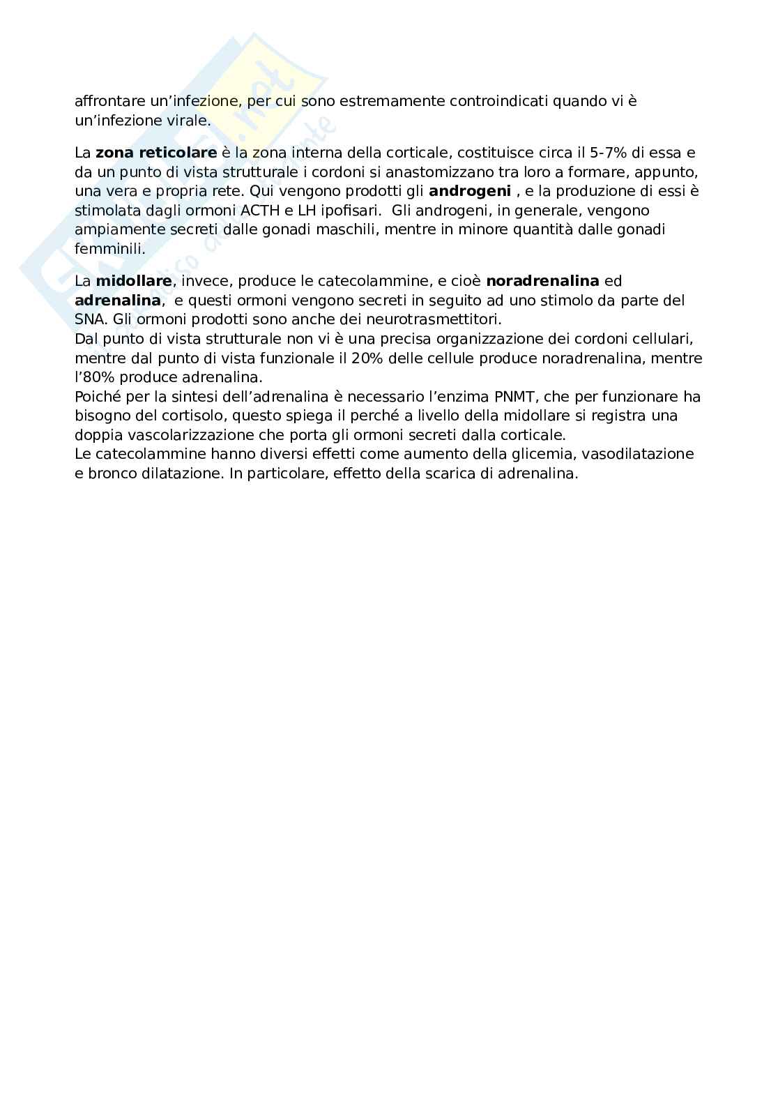 Sistema endocrino Pag. 6