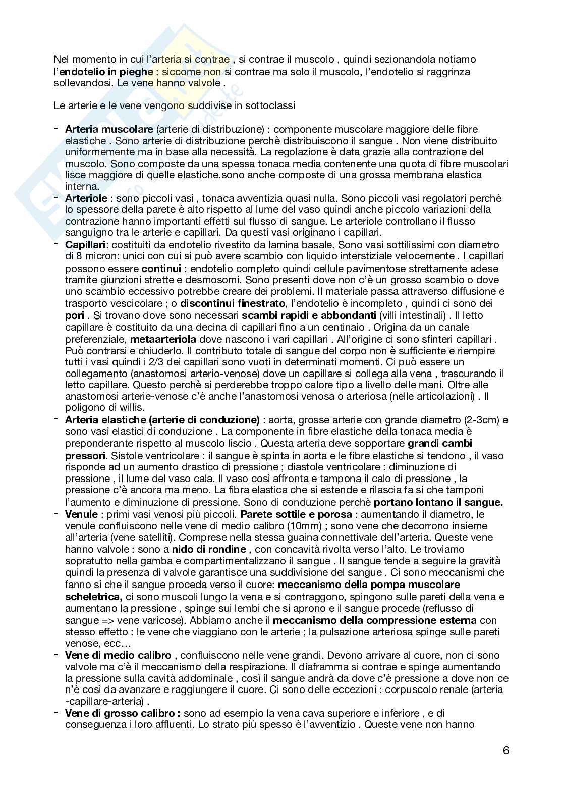 Riassunto esame Anatomia umana, Prof. Brunetti Simona, libro consigliato Anatomia umana, Martini Pag. 6