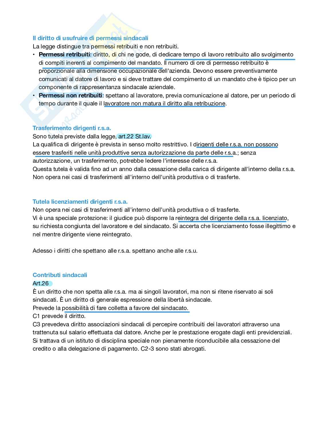 Diritto sindacale  Pag. 11