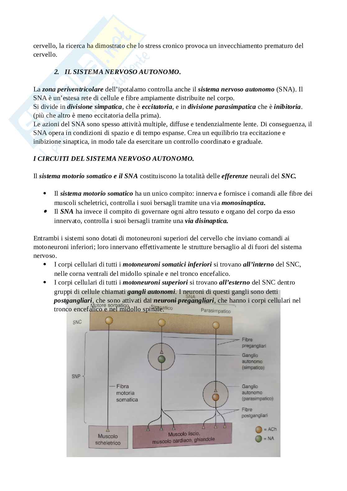 Riassunto esame Psicobiologia, Prof. Tommasi Luca, libro consigliato Neuroscienze esplorando il cervello, Mark. F Bear Pag. 31