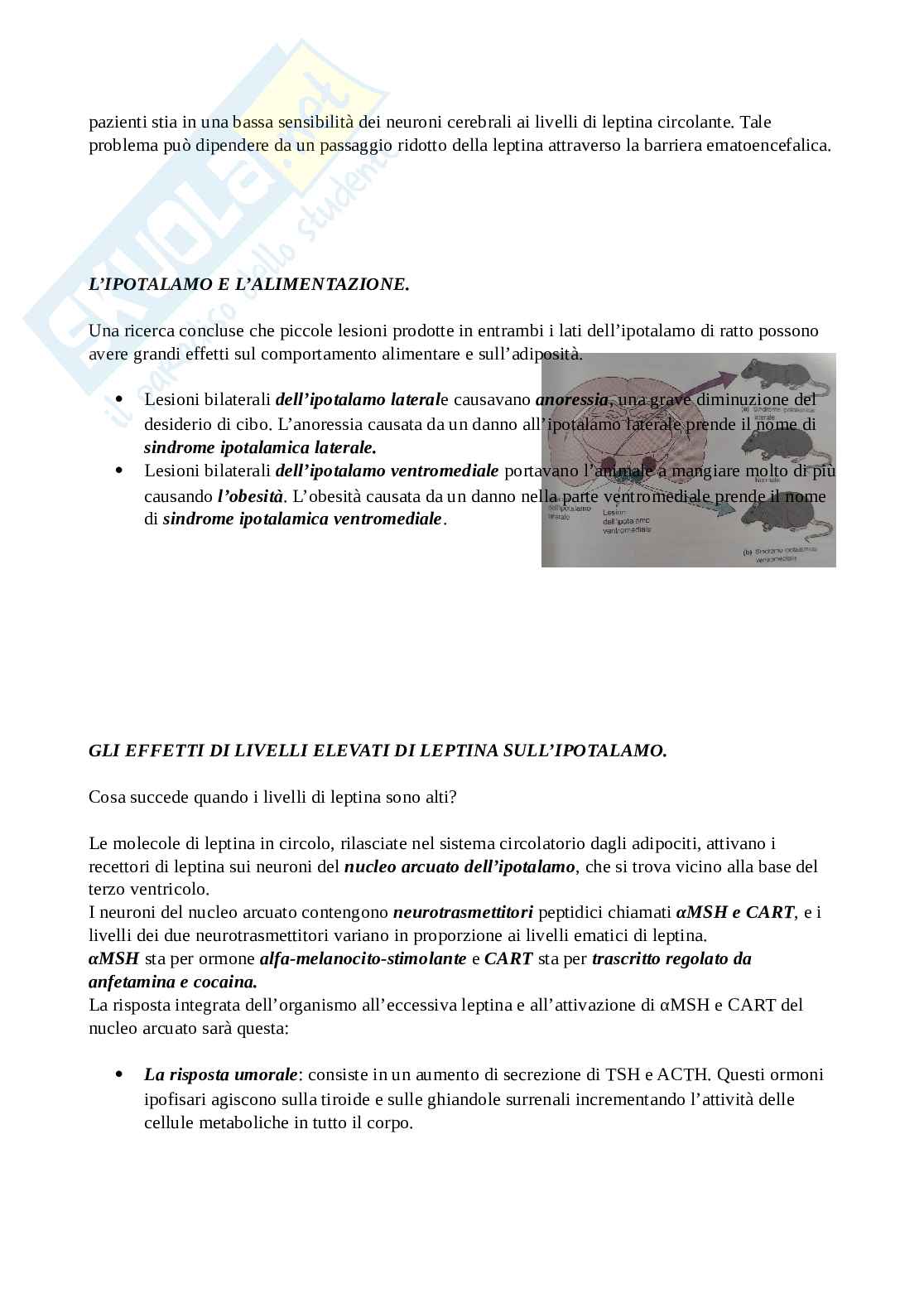 Riassunto esame Psicobiologia, Prof. Tommasi Luca, libro consigliato Neuroscienze esplorando il cervello, Mark. F Bear Pag. 41