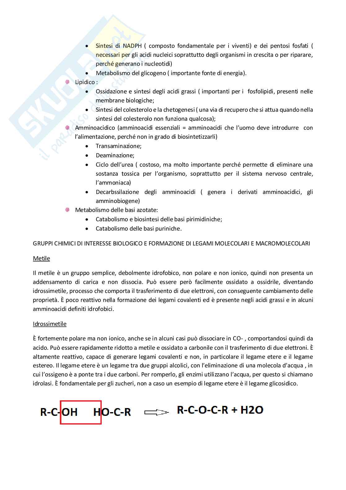 Biochimica - Principi di biochimica Pag. 2