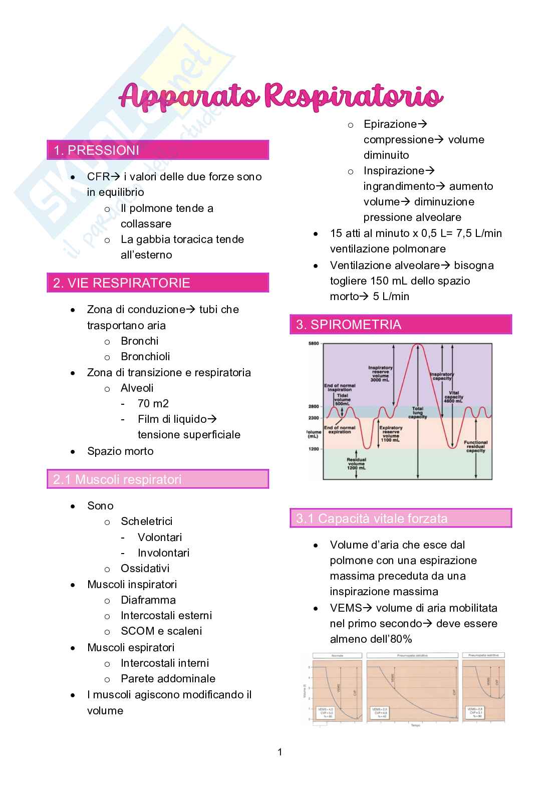 Appunti di Fisiologia sull'apparato respiratorio  Pag. 1