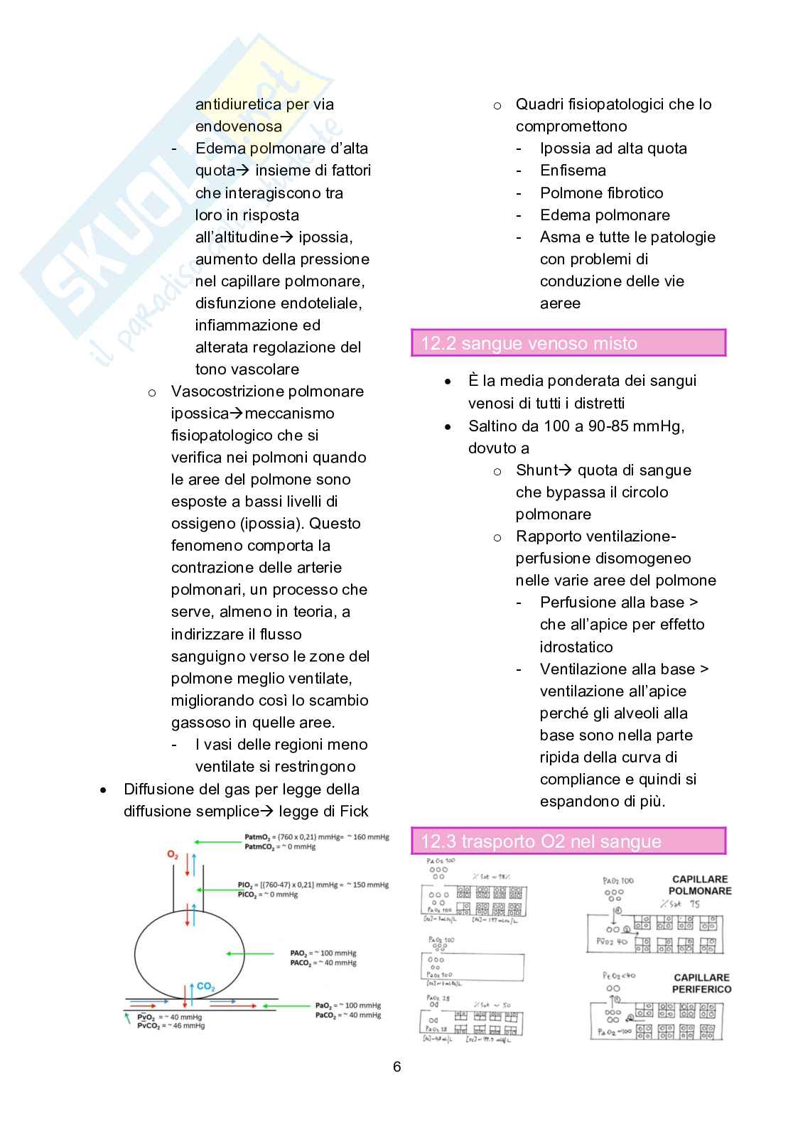 Appunti di Fisiologia sull'apparato respiratorio  Pag. 6