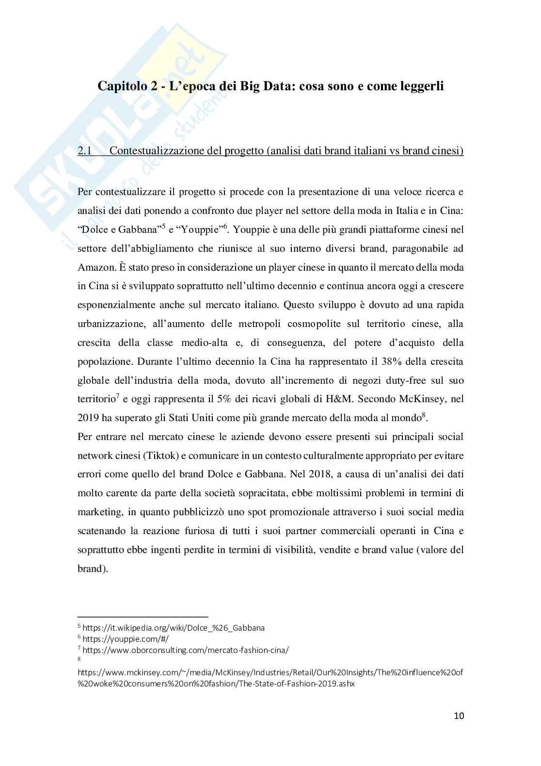 L'importanza dell'analisi dei dati del marketing digitale nella società 5.0 Pag. 11
