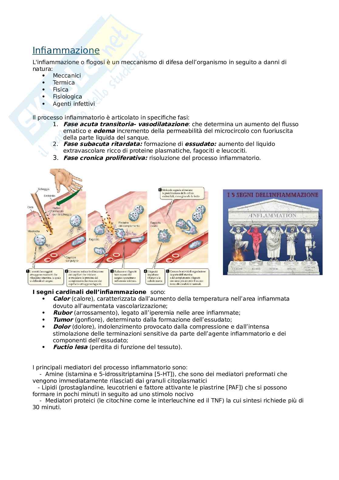 Infiammazione Pag. 1
