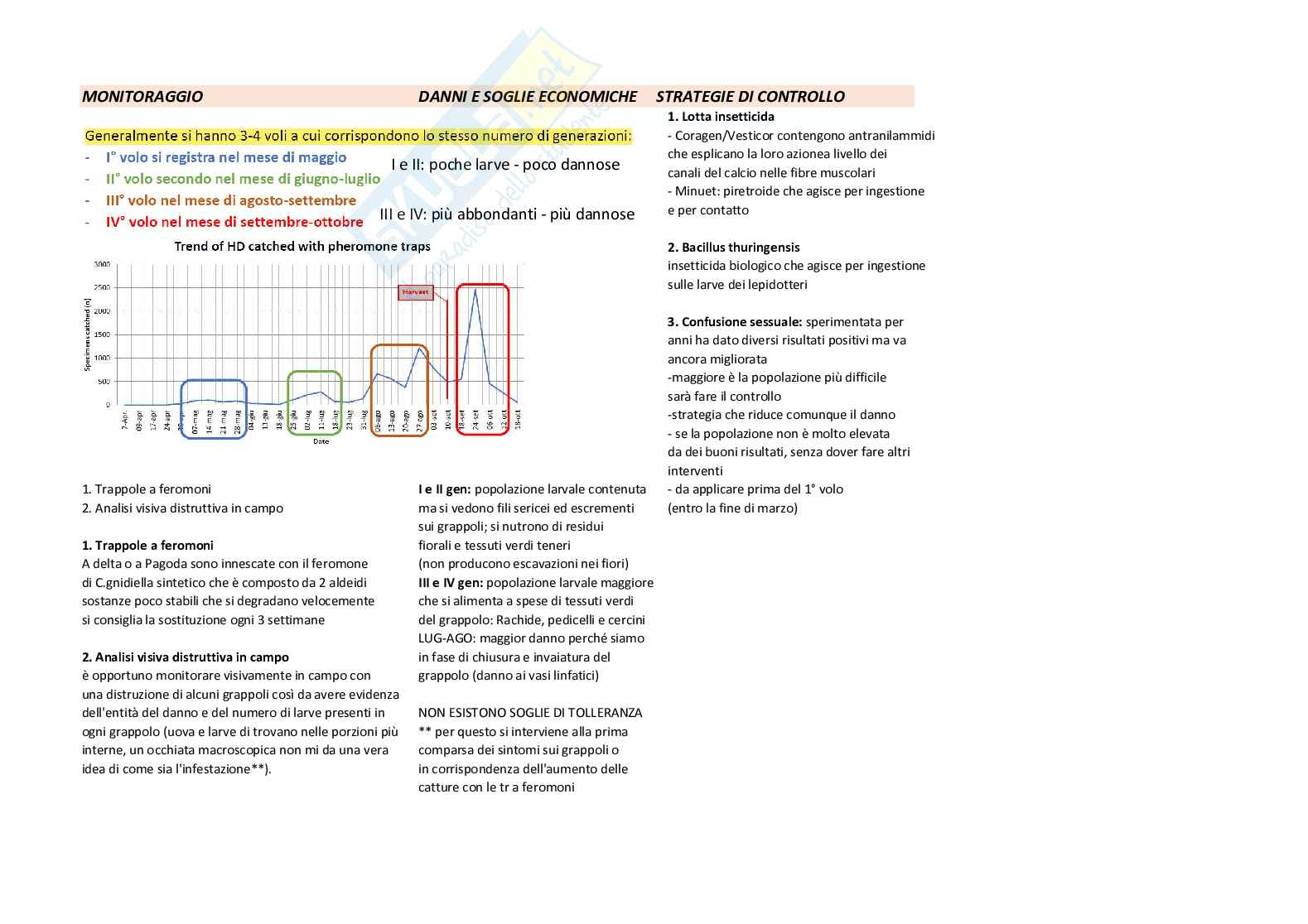 Scafoideo - Planococco - Cryptoblabes Pag. 6