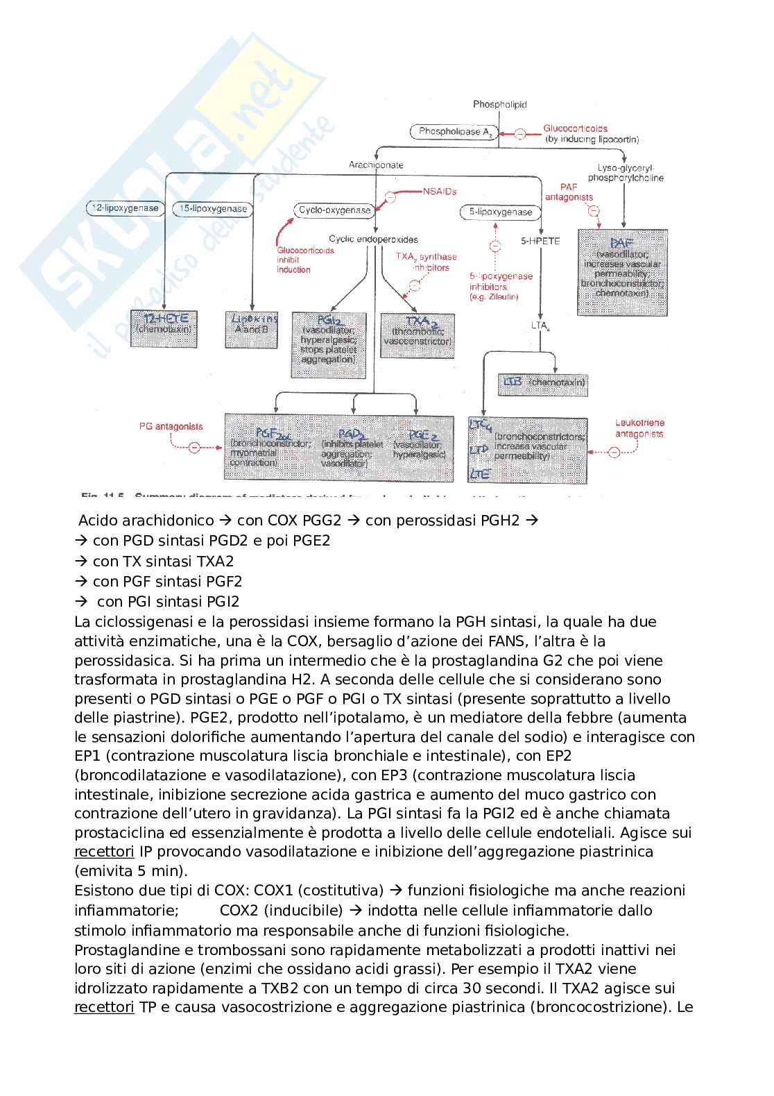 Farmacologia Pag. 21