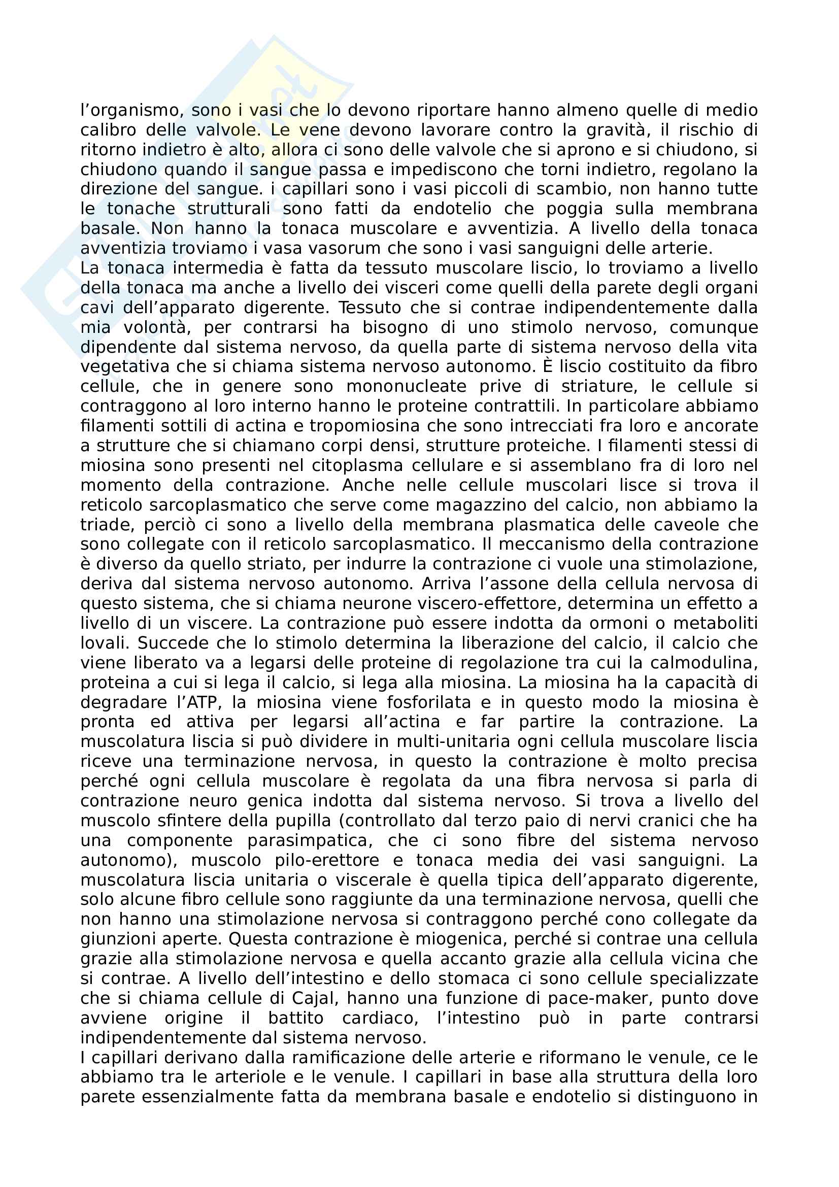 Apparato circolatorio sanguigno Pag. 2