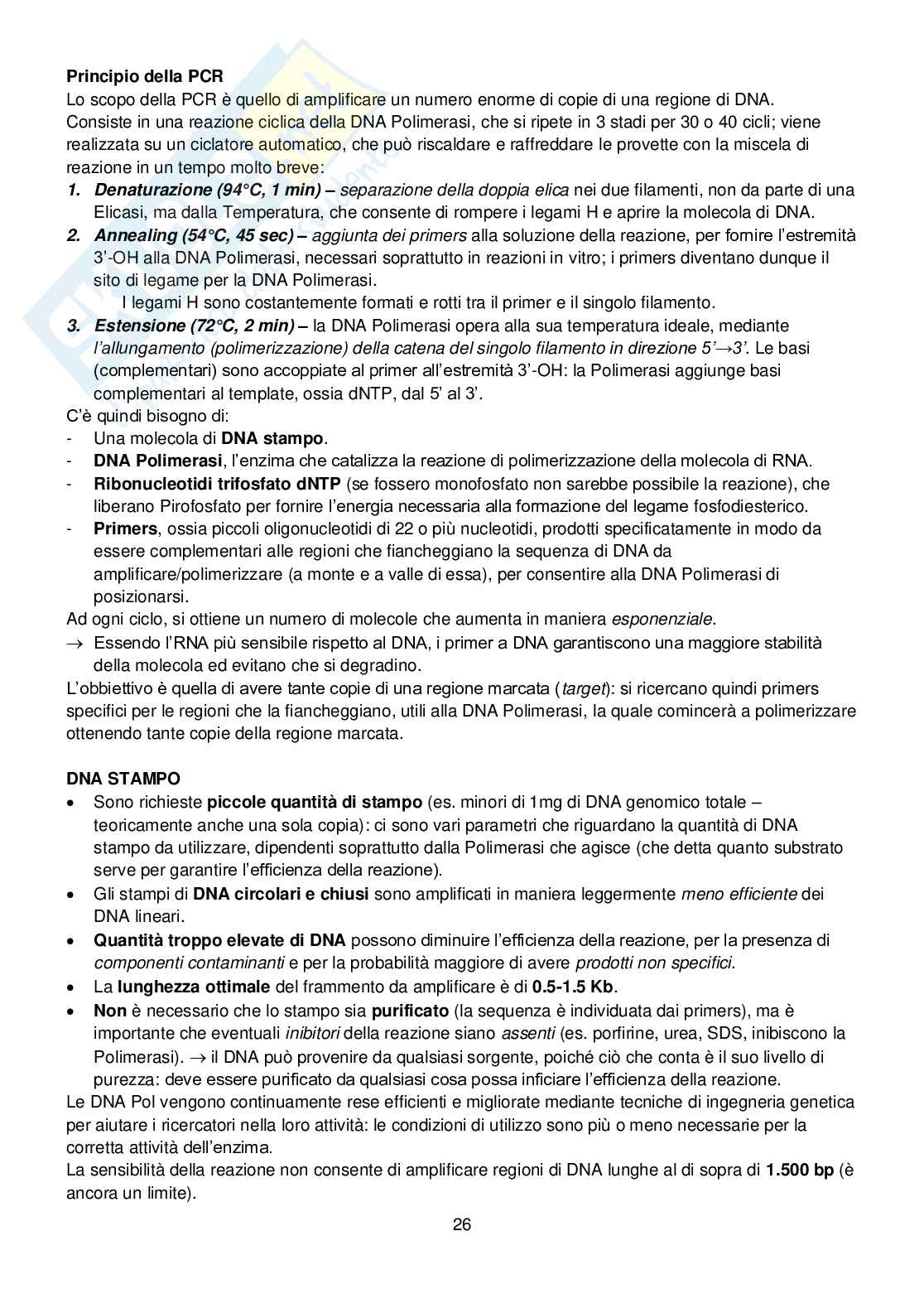 Biologia Molecolare - seconda parte Pag. 26