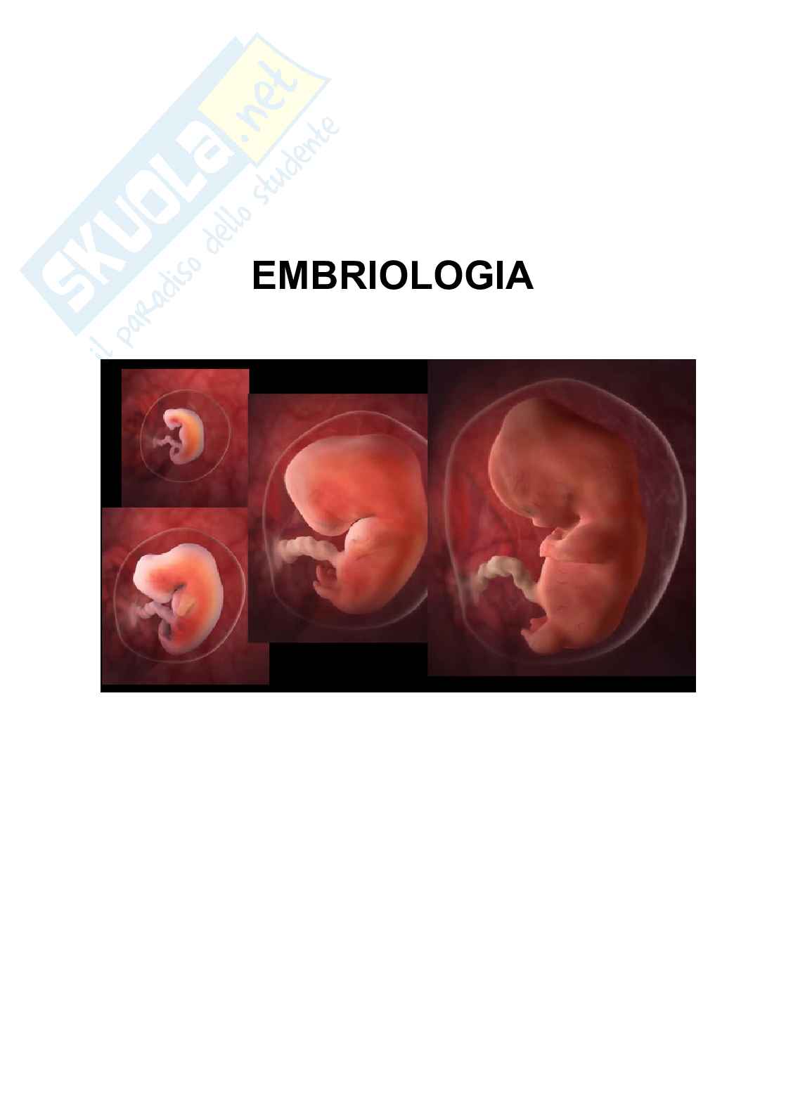 Embriologia, parte 1 - gametogenesi e fecondazione  Pag. 1