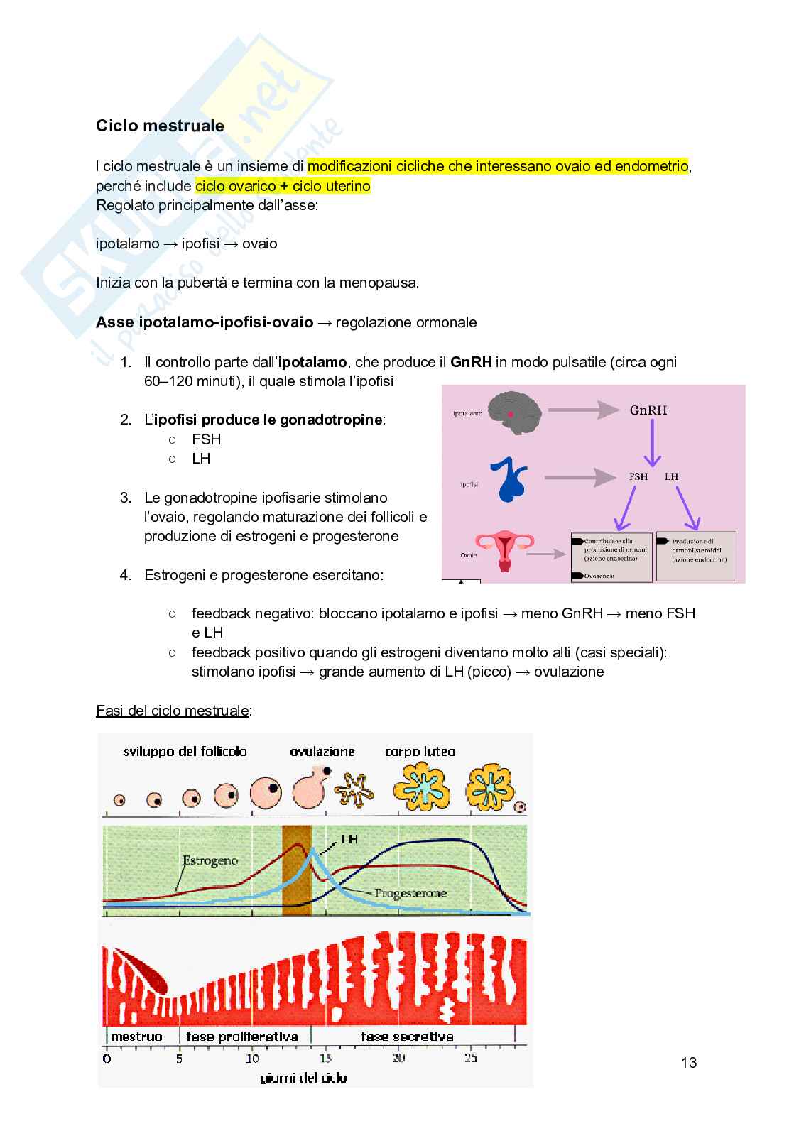 Embriologia, parte 1 - gametogenesi e fecondazione  Pag. 11