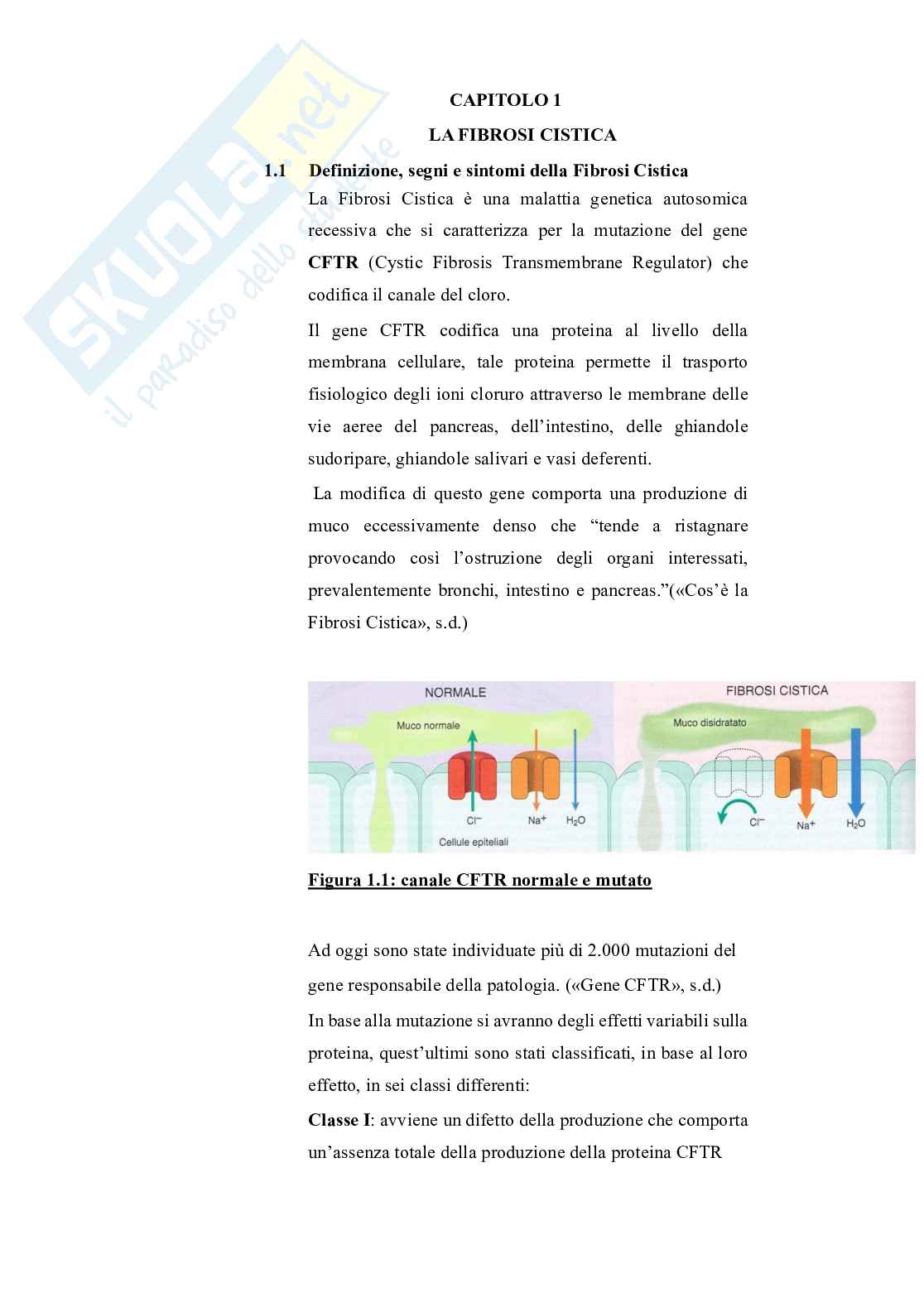 L’infermiere come ponte tra la malattia e il benessere emotivo di pazienti e famiglie nella fibrosi cistica Pag. 6