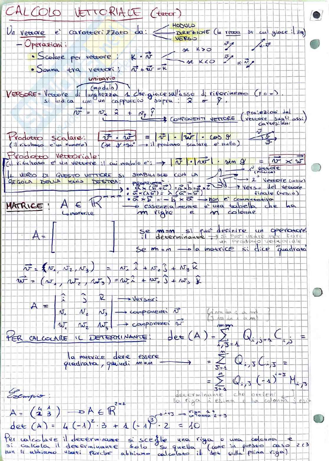 Appunti Fisica 1 + Formulario + Esercizi svolti Pag. 2