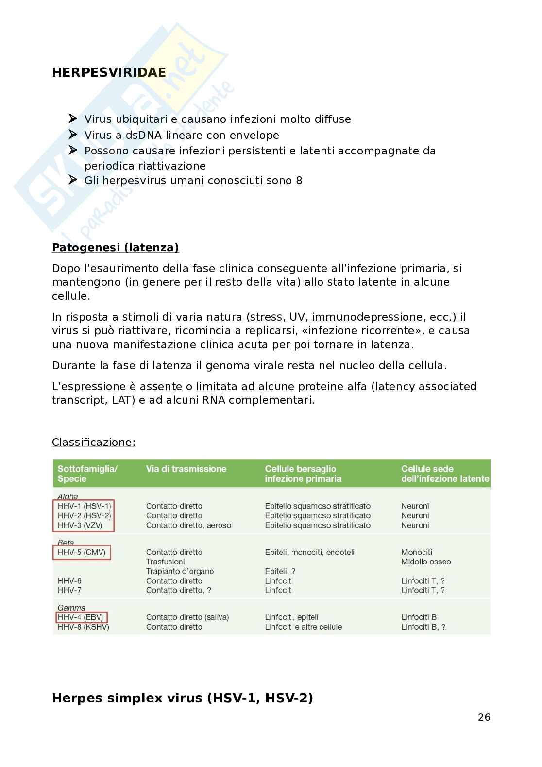 Promozione della salute e della sicurezza: Virologia Pag. 26