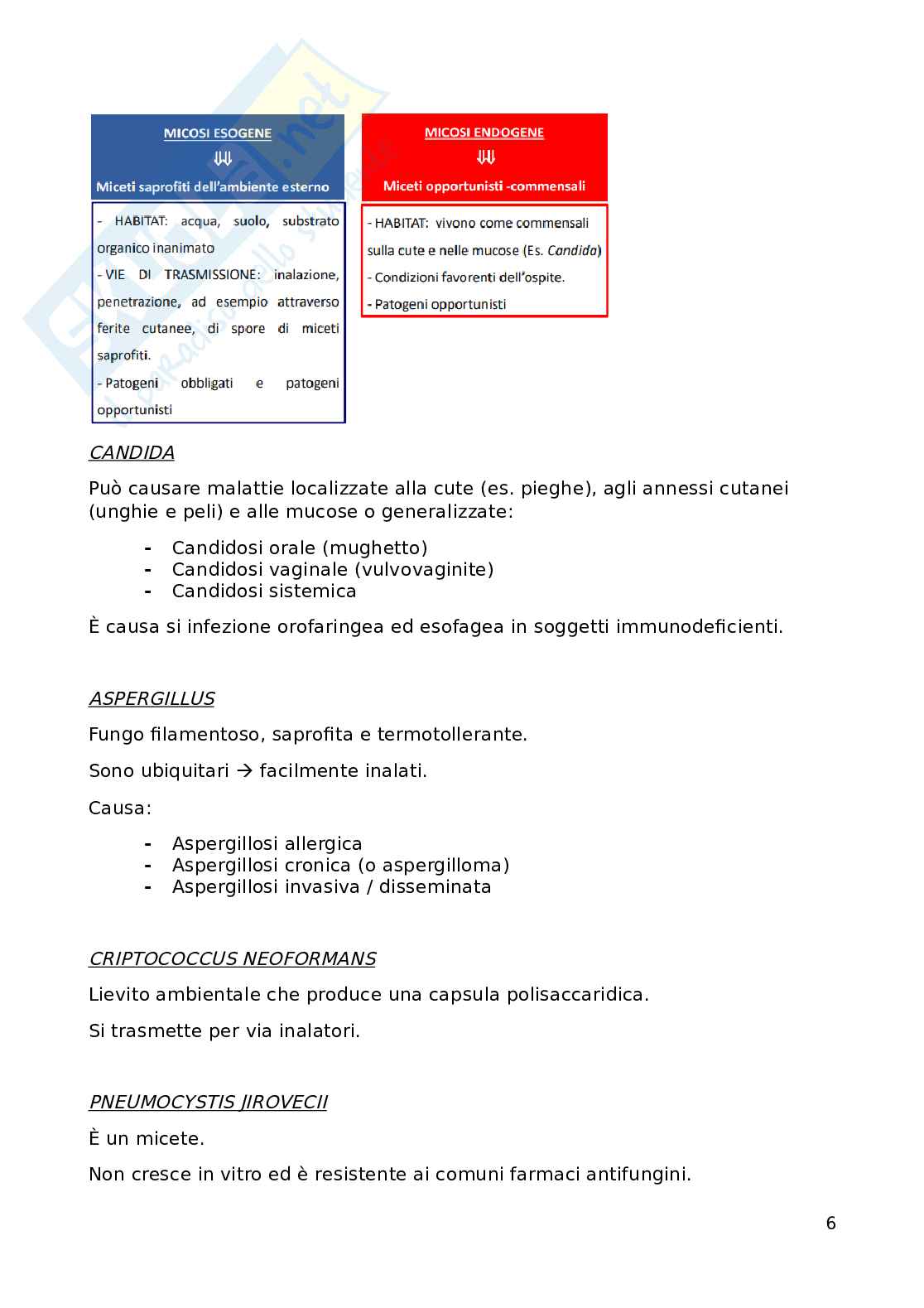 Promozione della salute e della sicurezza: Virologia Pag. 6