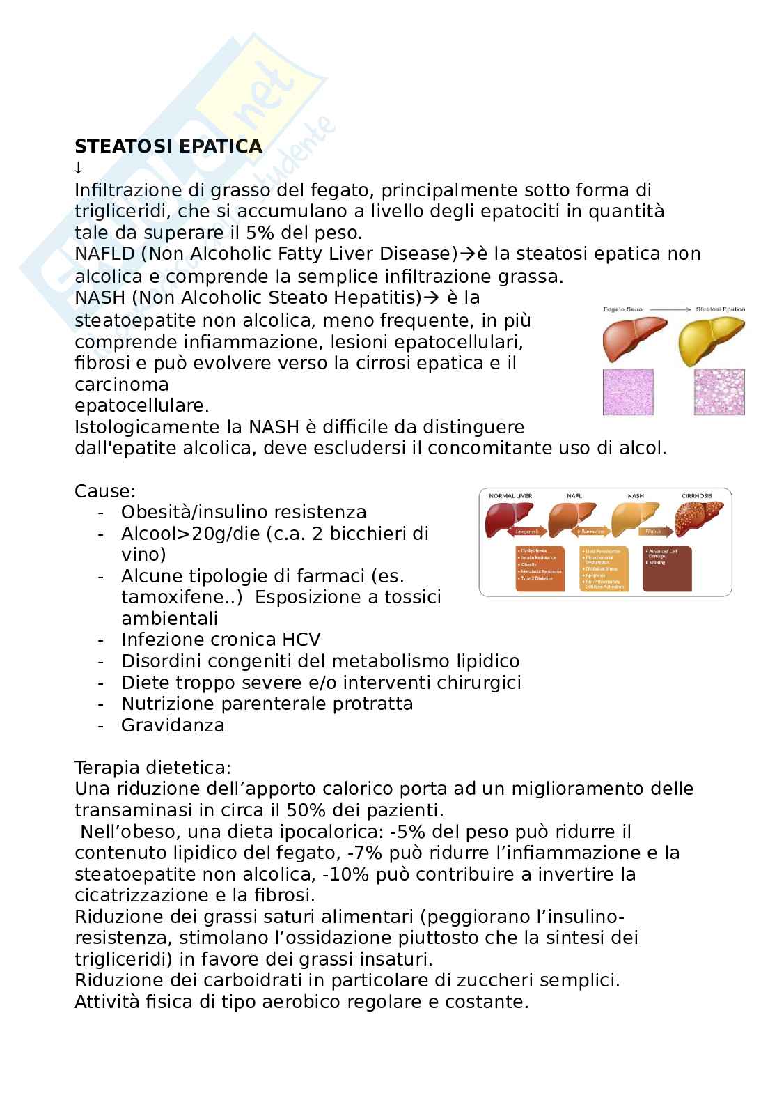 Scienze dietetiche Pag. 26