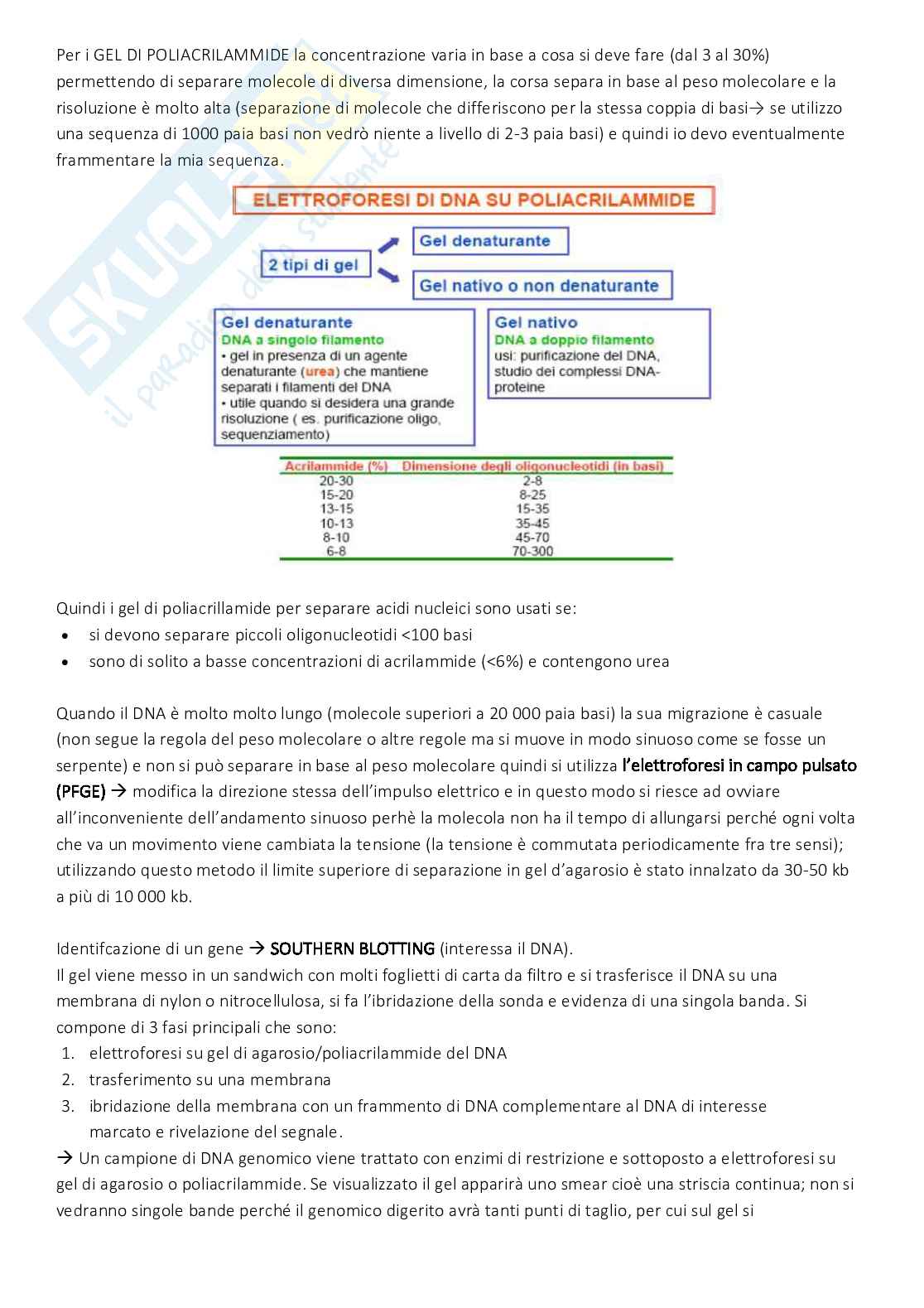 Biologia molecolare Pag. 51